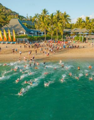 What’s on around Australia in November 2024