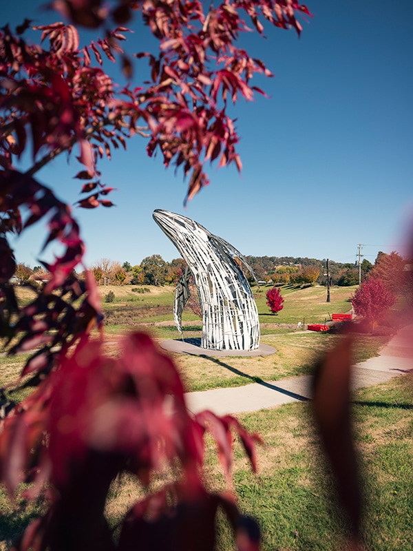 Walcha's Open Air Gallery