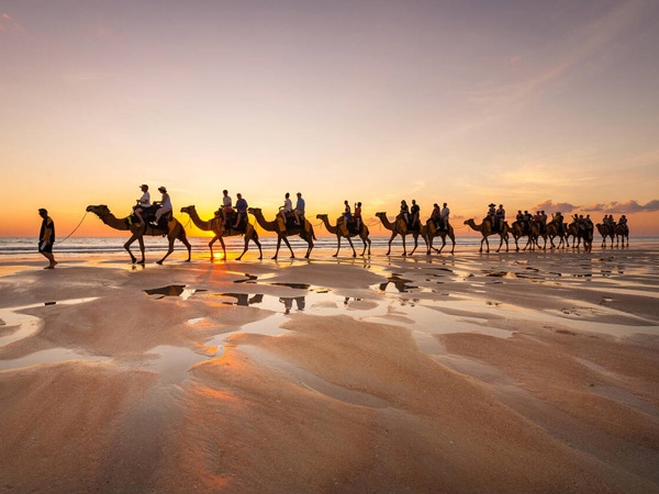 the red sun camel tour on Cable Beach at sunset