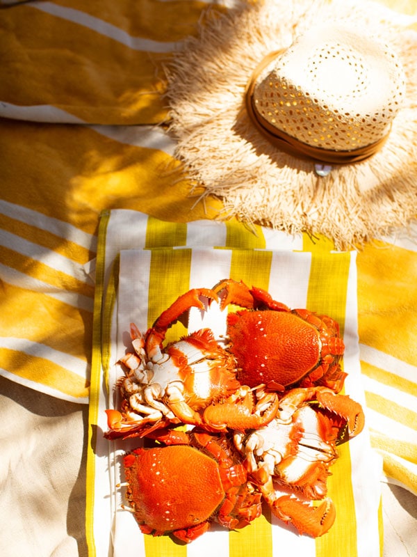 crabs on a yellow blanket