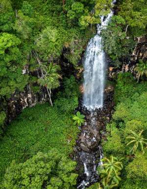 gondwana rainforest experiences, Cameron Falls at Tamborine Mountain