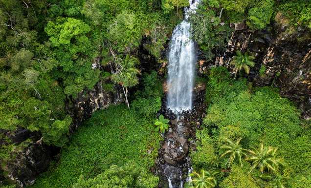 gondwana rainforest experiences, Cameron Falls at Tamborine Mountain