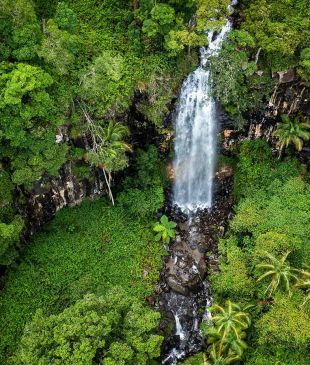 <p><i>7 ways to experience</i> the world’s largest sub-tropical rainforest</p>
