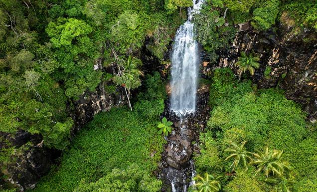 gondwana rainforest experiences, Cameron Falls at Tamborine Mountain
