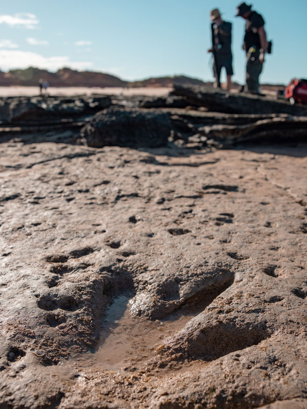 dinosaur foot prints on Reddell Beach, Broome