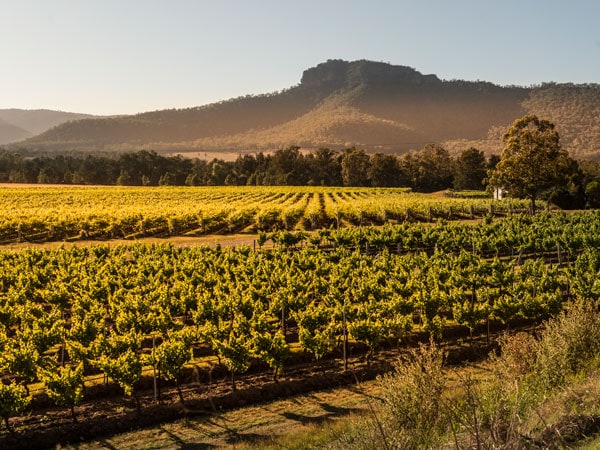 scenic vineyards over Yellow Rock and the Broke Fordwich wine region
