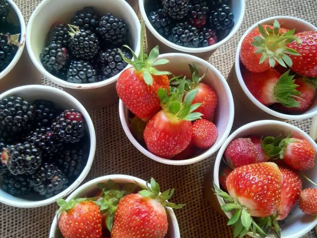 berries in cups at Lot 101 Farmgate Market