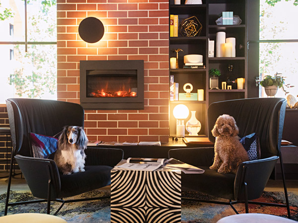 dogs sitting inside Zagame’s House, Carlton