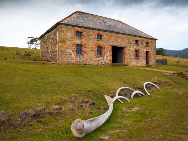 the Commissariat Store, Darlington Probation Station