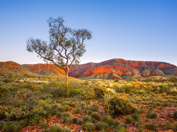 Ormiston Pound, Northern Territory