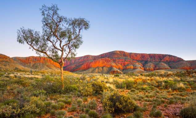Ormiston Pound, Northern Territory