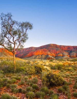 Ormiston Pound, Northern Territory