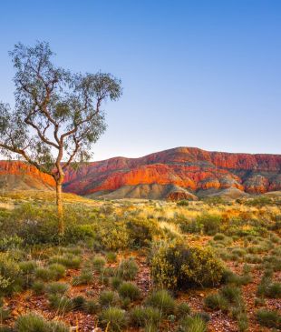 <p><strong>Australia</strong> ranks <i>second in world’s</i> most unspoilt landscapes</p>
