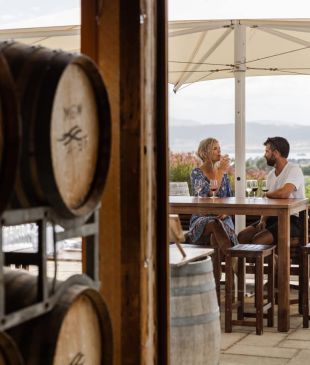 <p><i>The best wineries</i> in <strong>Tasmania</strong> by wine region</p>
