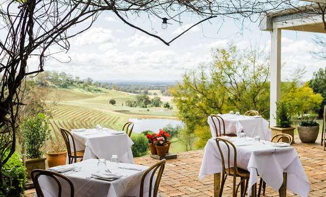 dining at Bistro Molines overlooking Hunter Valley vineyards