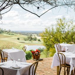 dining at Bistro Molines overlooking Hunter Valley vineyards