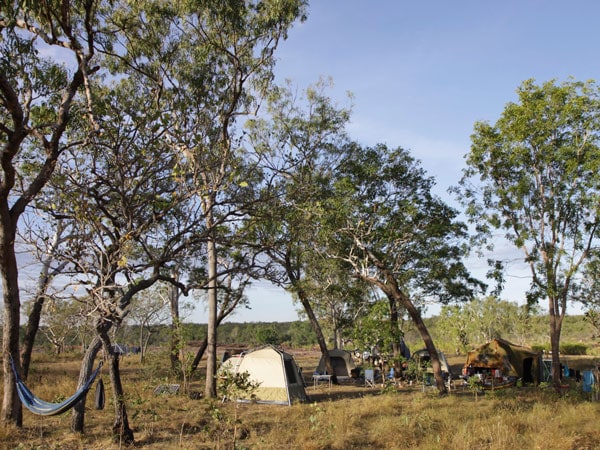 a tent under the trees at Munurru Campground