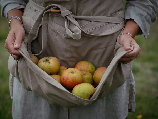 fresh apples at Springwood Growers Market, Springwood