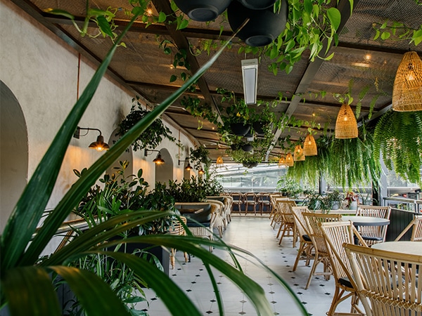 The Terrace Pumphouse Sydney has been revitalised with greenery.