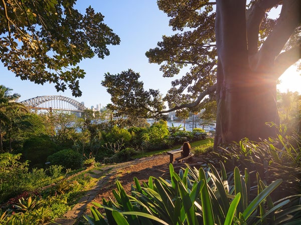 enjoying the serenity in Wendy Whiteley's Secret Garden in Lavender Bay
