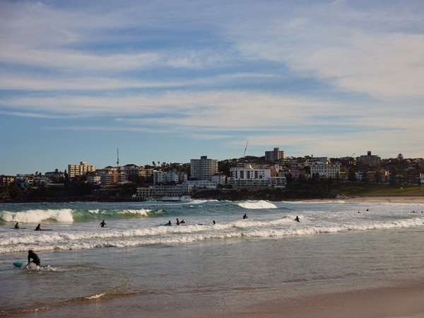 surfing in Bondi Beach