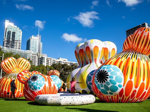 a Cupid Koi Garden at Sydney Festival