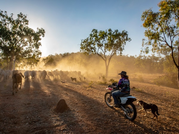 a man riding a motorcycle across the outback grounds of Gilberton Outback Retreat