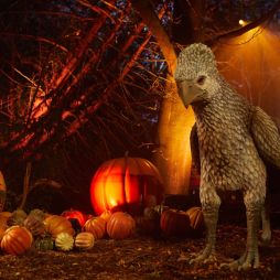 Buckbeak at Harry Potter: A Forbidden Forest Experience