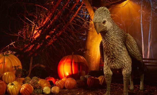Buckbeak at Harry Potter: A Forbidden Forest Experience