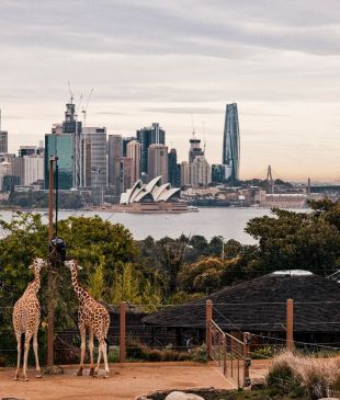 <p><i>9 must-see</i> <strong>Sydney</strong> zoos and wildlife experiences</p>
