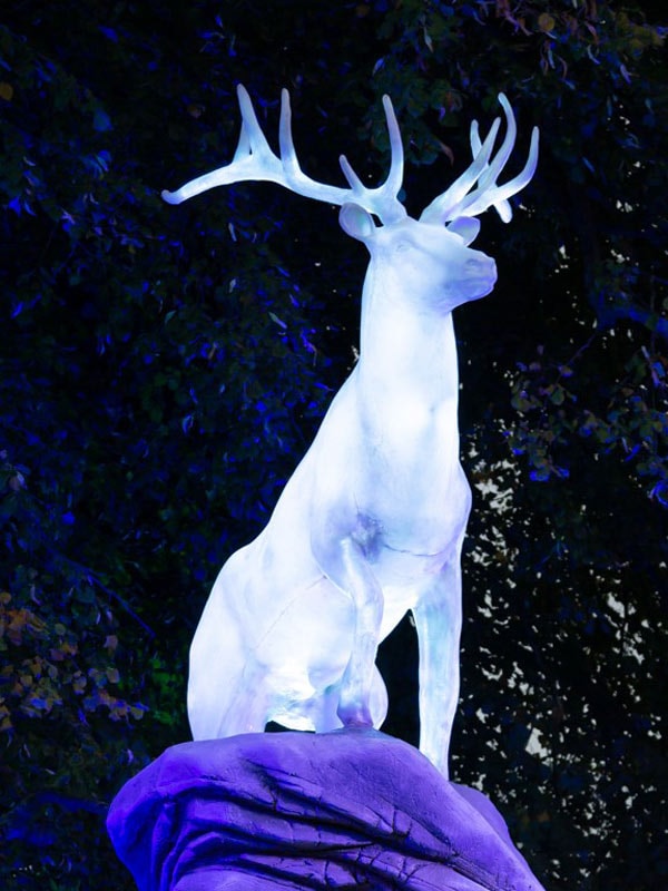Deer Patronus at Harry Potter: A Forbidden Forest Experience