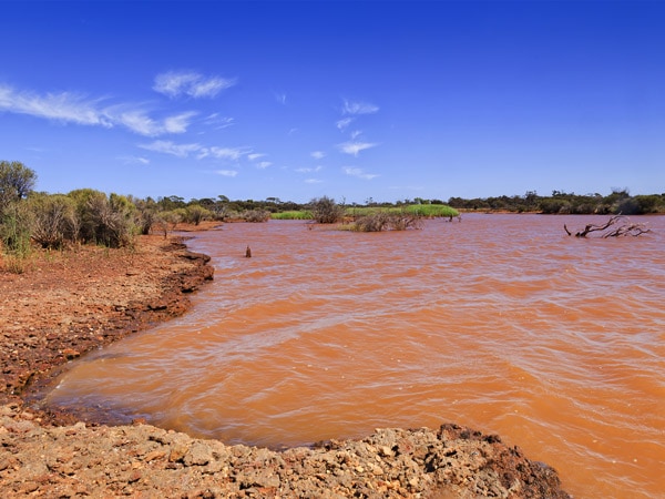 Lake Leffroy near Widgiemooltha in Western Australia.
