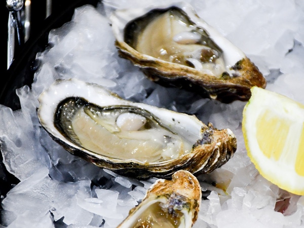 a close-up shot of oysters