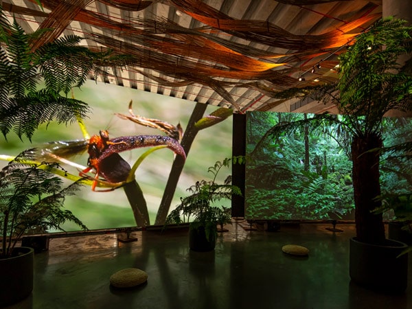 Ten Thousand Suns, 24th Biennale of Sydney 2024