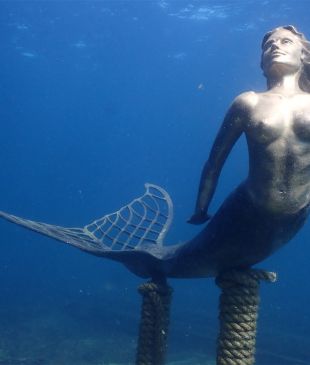 <p><i>A new underwater sculpture trail</i> is now open in <strong>Busselton</strong></p>
