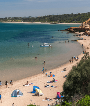 <p><i>12</i> <strong>Melbourne</strong> beaches to visit (yes, they exist)</p>

