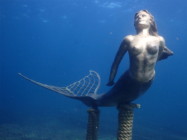 The Bronze Mermaid by Cerys Heyring