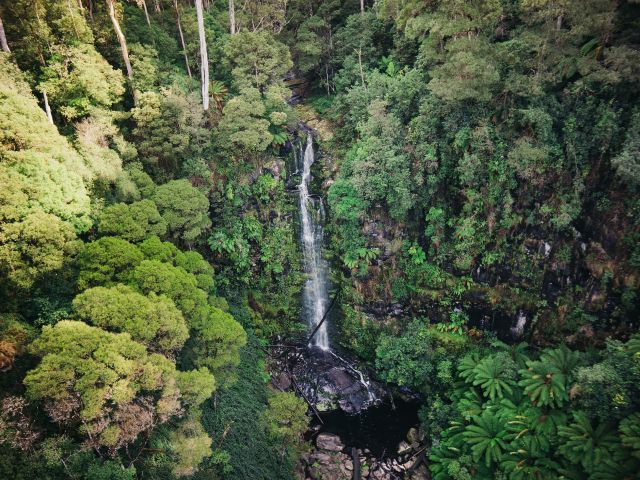 Erskine Falls in Victoria