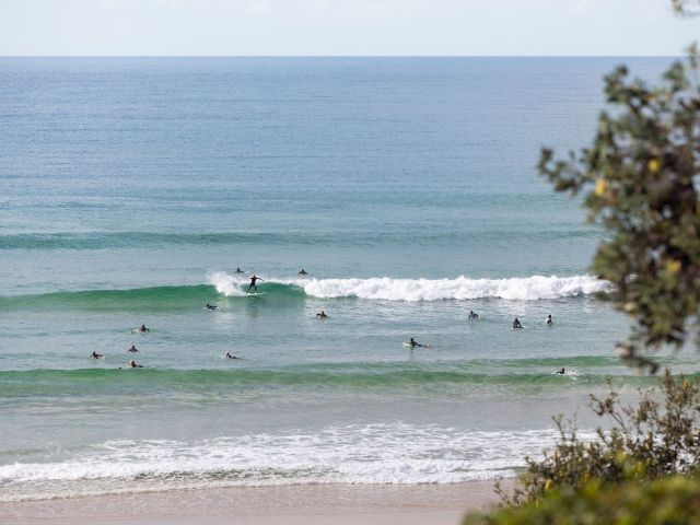 surfers at Freshwater Beach