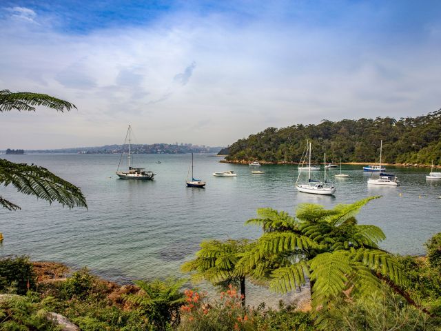 Bradleys Head to Chowder Bay, Mosman