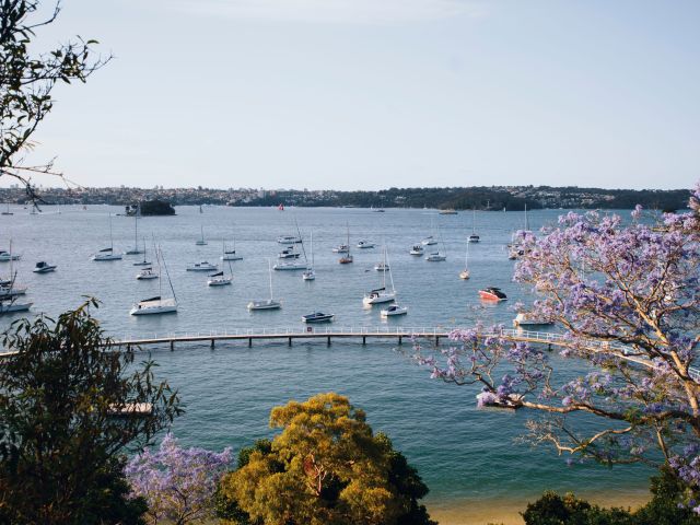 Murray Rose Pool, Double Bay