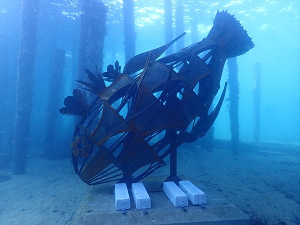 The Southern Right Whale by Alan Meyburgh