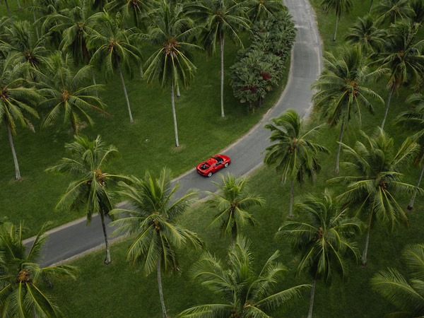 Red Ferrari driving down road with Palm trees.