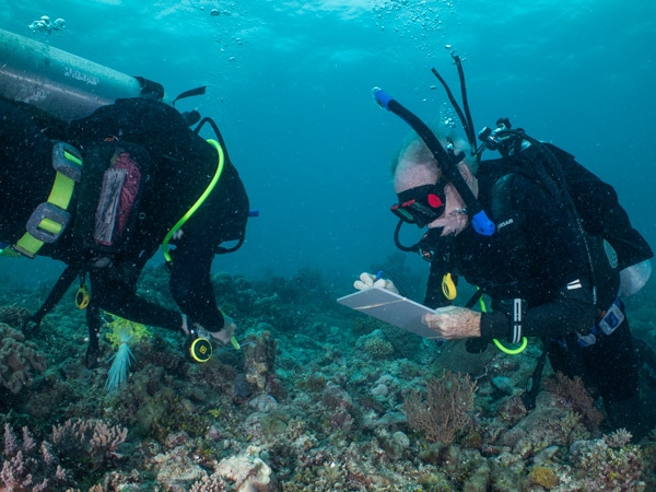collected corals being brought up to the vessel