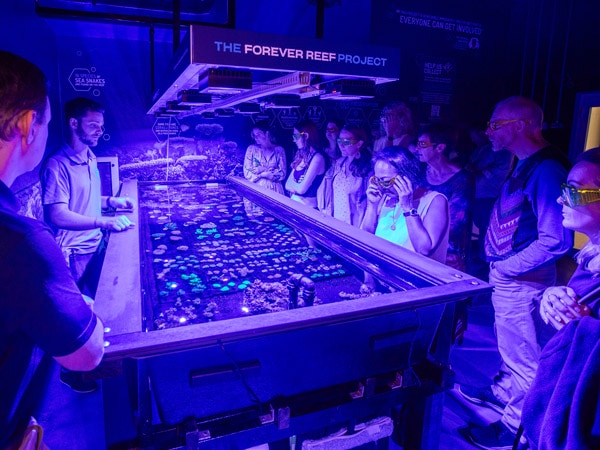 the world's first behind-the-scenes tour of A Living Coral Biobank (the Forever Reef Project)