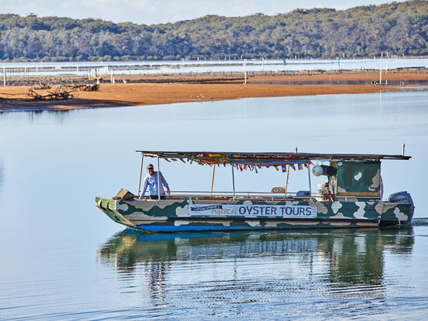 Captain Sponge’s Magical Oyster Tour around Pambula Lake