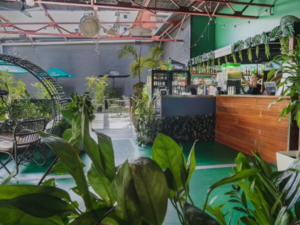 the tropical interior at Charlie's of Darwin