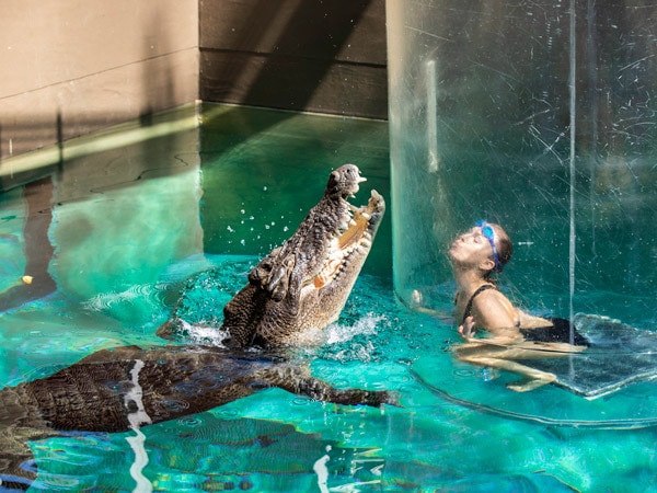 a woman at Crocosaurus Cove, NT