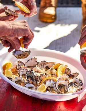 Patrons enjoying oysters onboard Captain Sponge’s Magical Oyster Tour