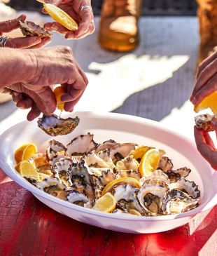 <p><i>A slurp-worthy guide</i> to <strong>Merimbula’s</strong> oyster trail</p>
